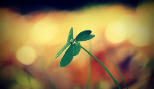 亚眠主场力克对手，获得宝贵3分