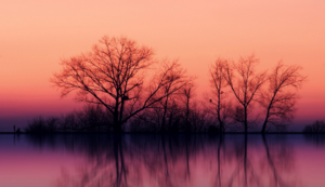 酒泉霍尔果斯战平，保持不败纪录