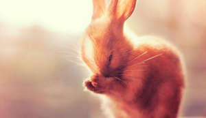 云达不莱梅保持不败，积分榜上升