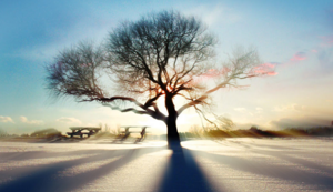 沙特队精彩逆转，成功跻身半决赛